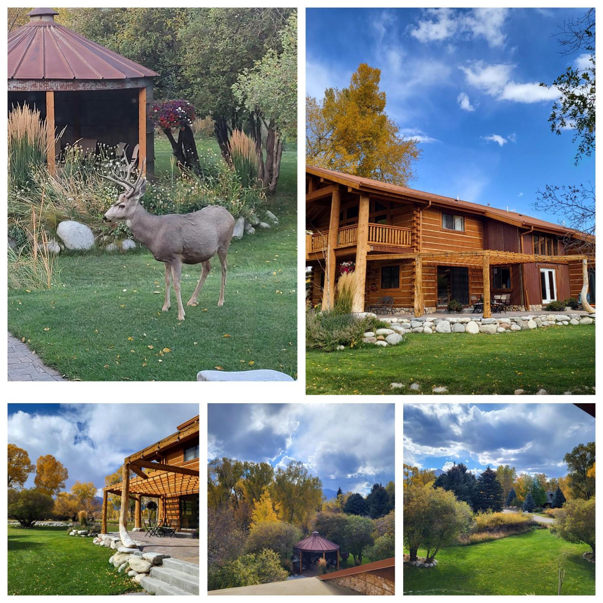 Buffalopeaks Lodge Buena Vista Exterior photo